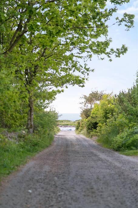 Cozy Cottage By The Sea South Of Varberg Traslovslage Buitenkant foto